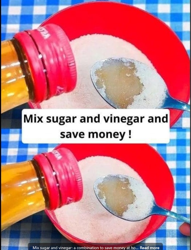 492069483 122129648054699587 5465994783242945986 N