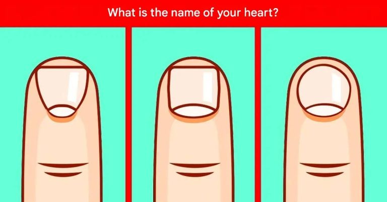 492138190 3092234980950329 549743283466302146 N