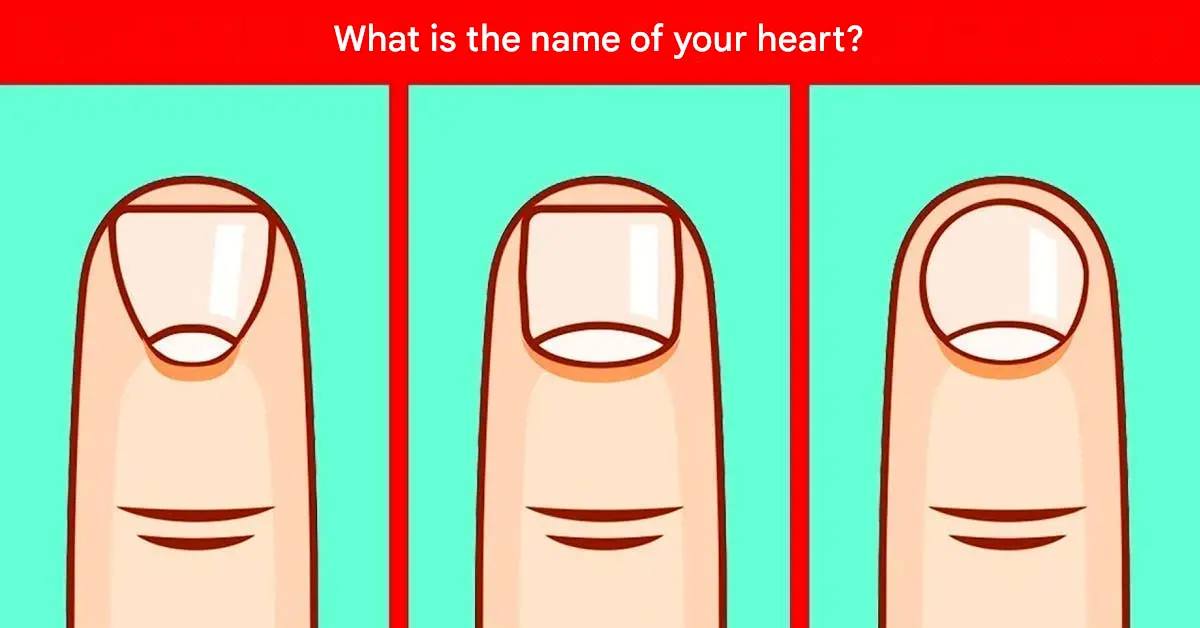 492138190 3092234980950329 549743283466302146 N