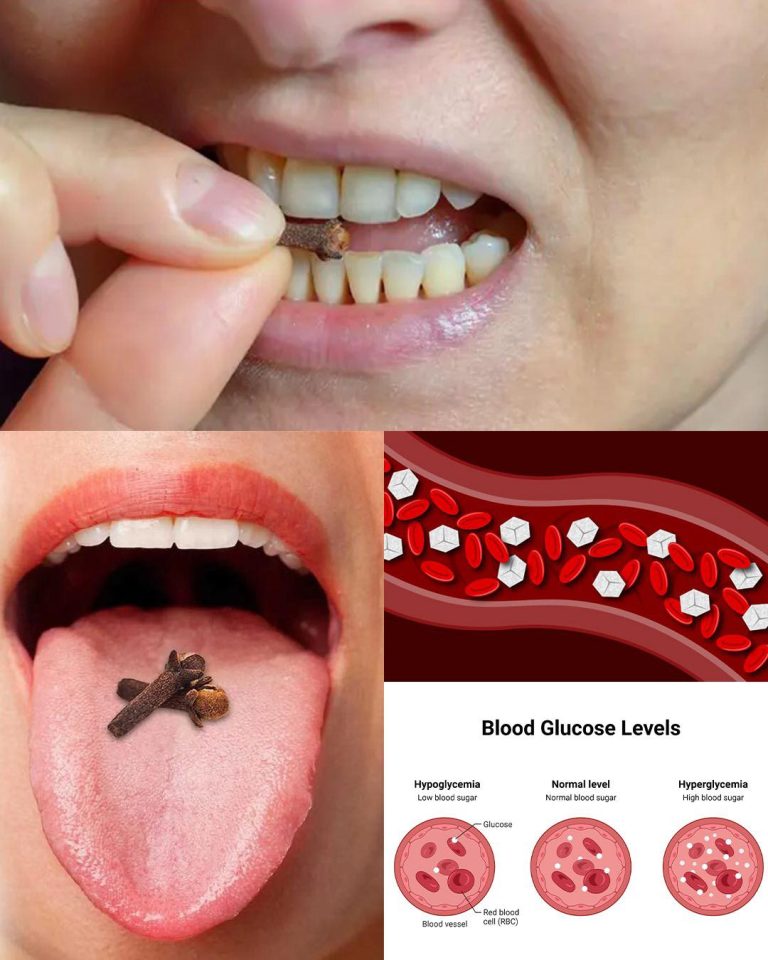 492415187 122122052384727176 6745814375758754141 N