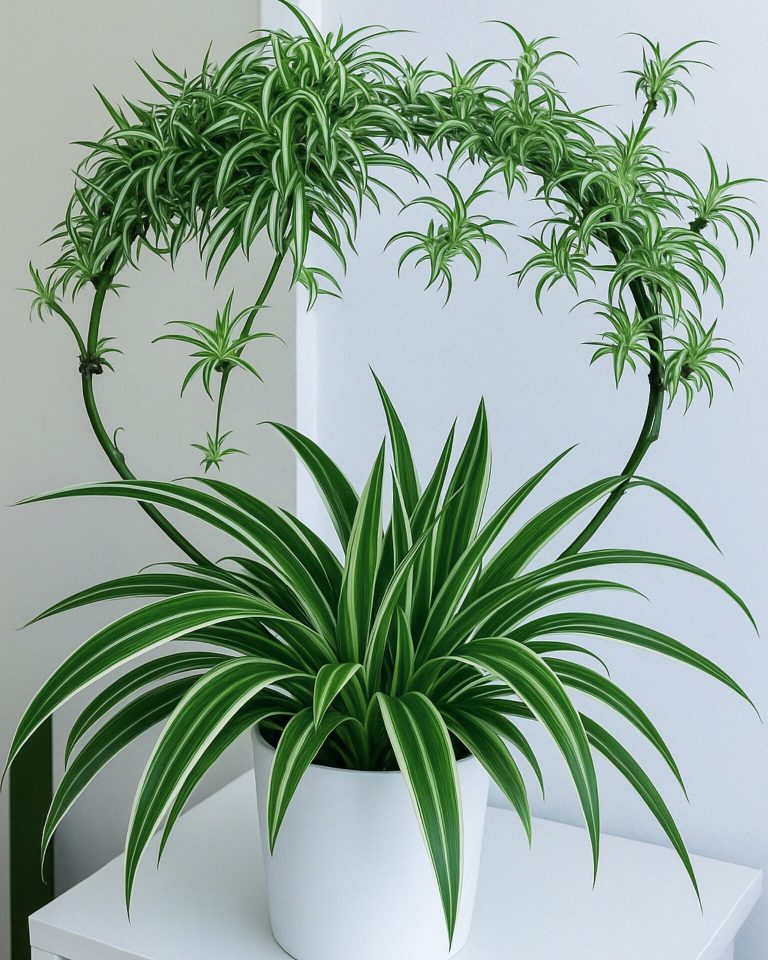 492480067 1252440230226265 4462485086648273383 N 1