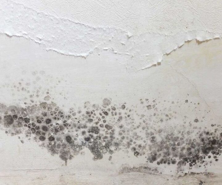 492523754 1235653211462346 7636884025443296626 N 1