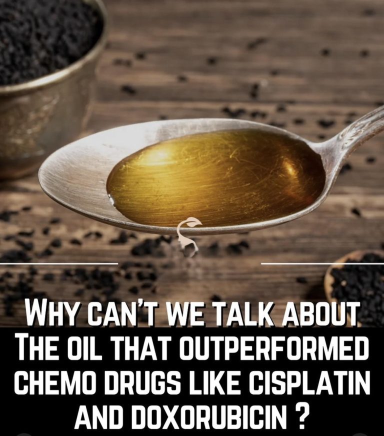 492523754 1235653211462346 7636884025443296626 N 1