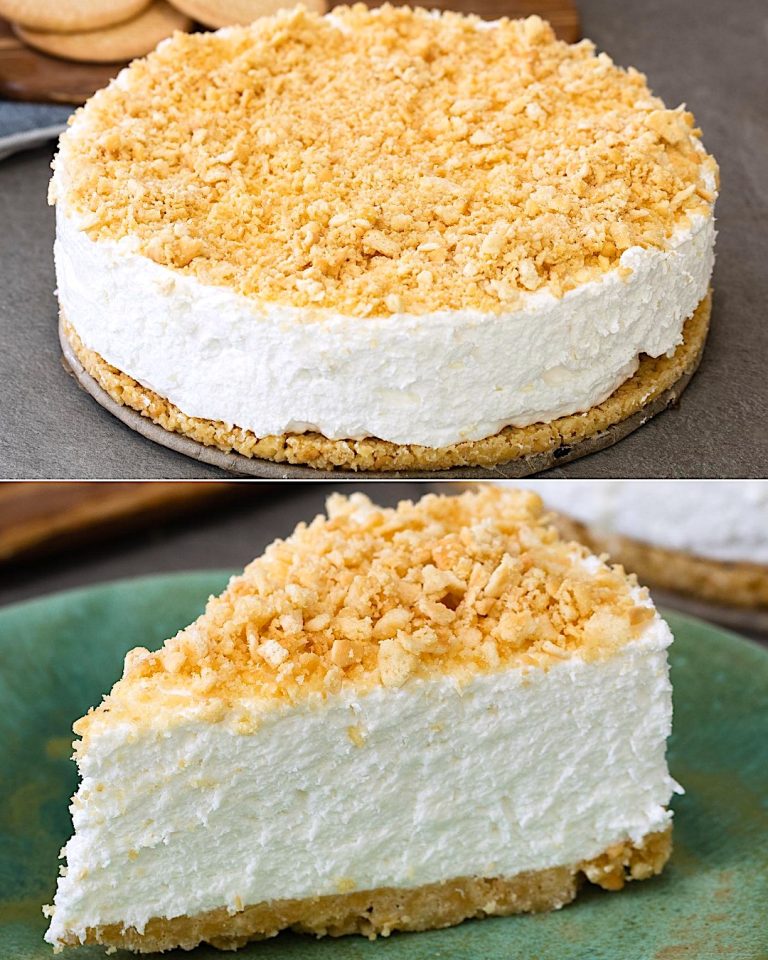 492539436 1114462964058866 4880028879806265567 N