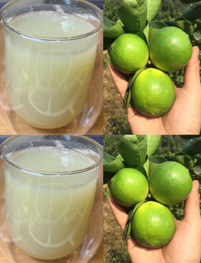 493129001 122132231048697295 2968075301338979593 N