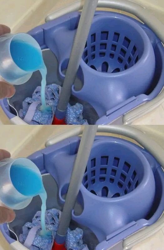 493205590 615579594854183 215042366235083189 N