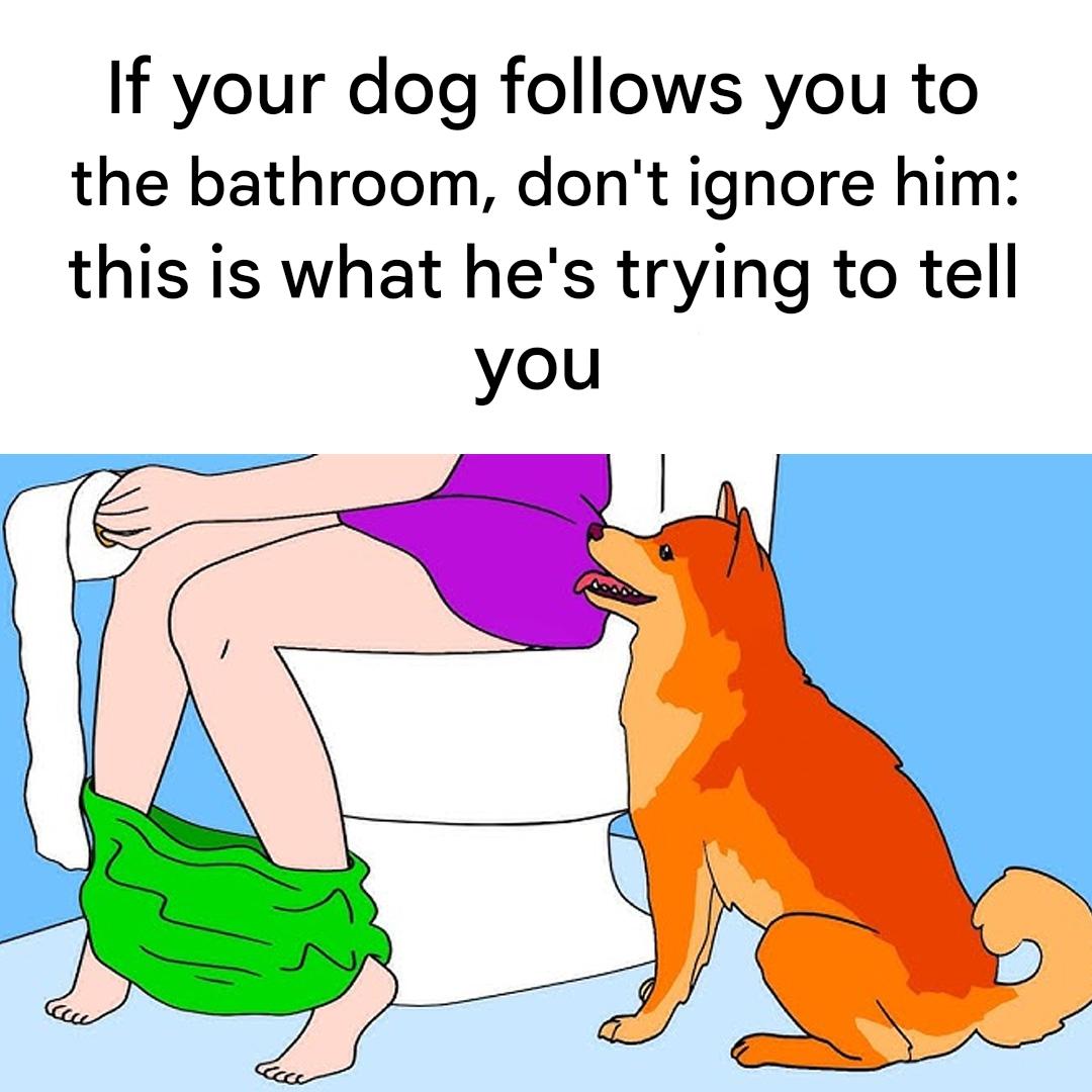 493212349 122164928960480977 7324882261151120046 N(1)