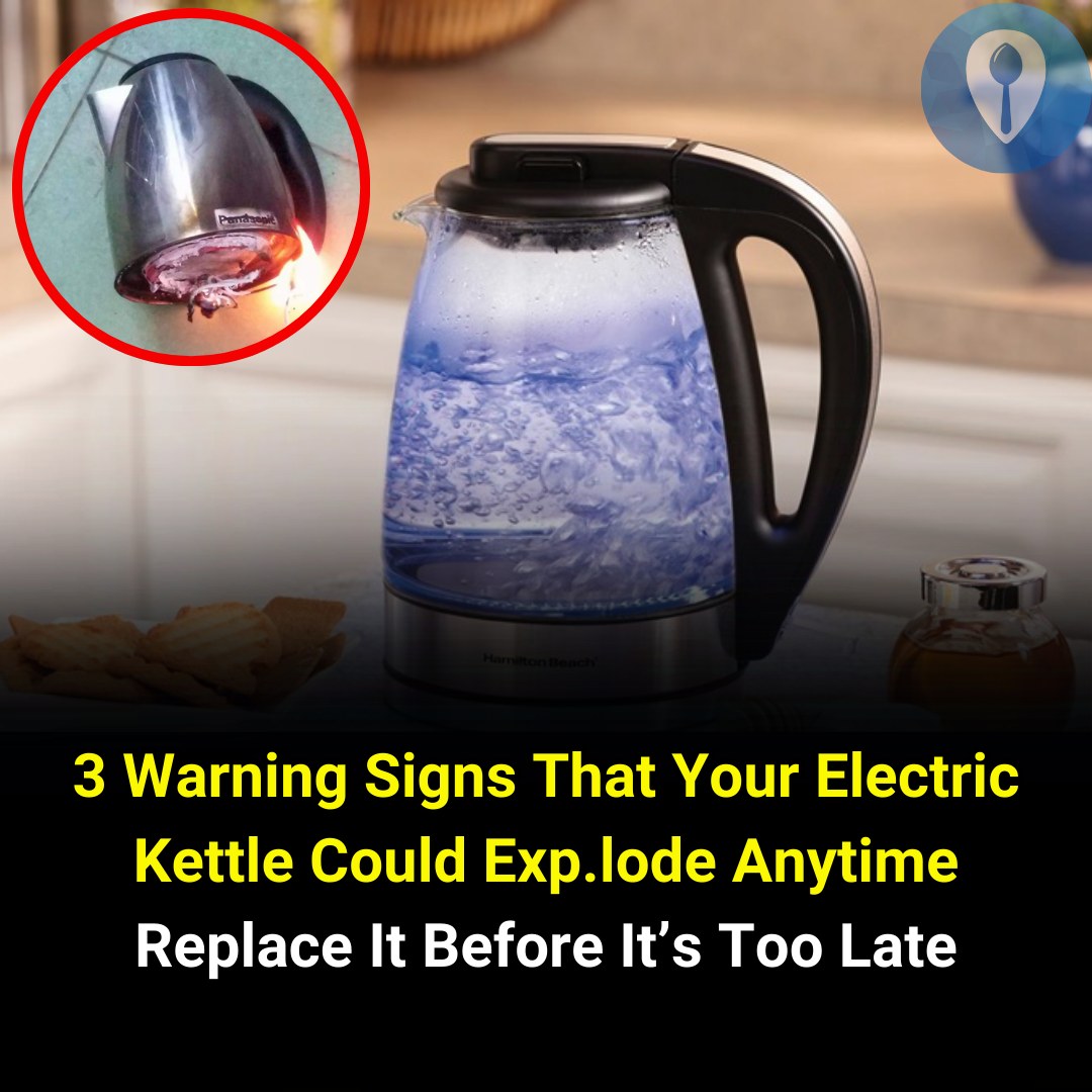 493238995 1109496807889560 9074450091015957593 N