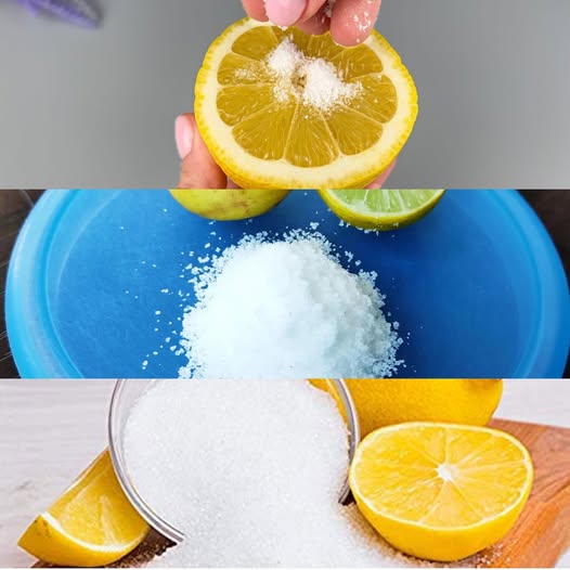 493607051 122152695344389475 3272442150138293348 N