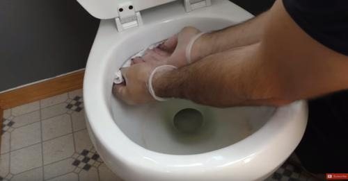 493723269 122233201814211115 8553950758789134943 N