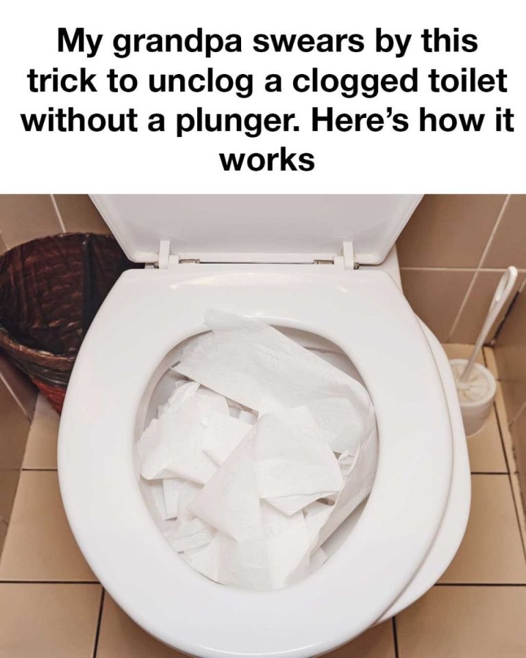 493864325 122112616478833991 2012868816384676871 N