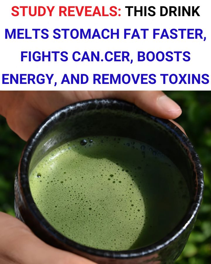 493951036 1241508277367869 7041524507684312068 N