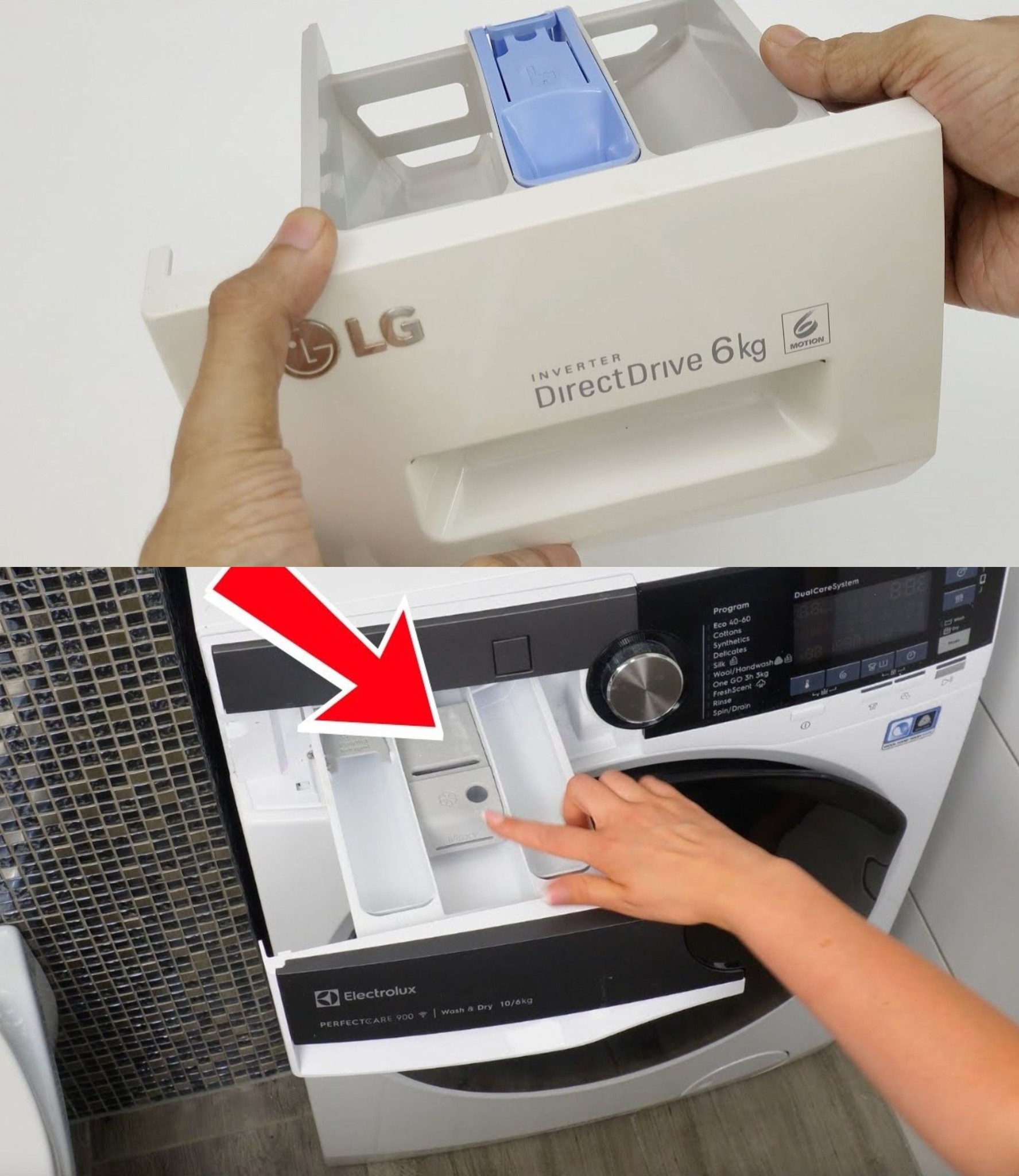 494127091 1243323777366235 3086867615054551760 N