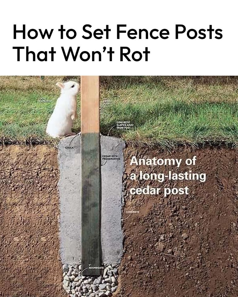 494150624 1084152760427162 4382413360151919207 N