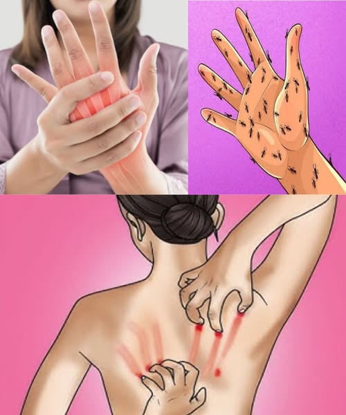 494158789 1111036161068958 6294342697435226387 N