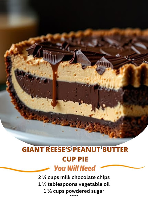 9c00a248 Ca4e 4b89 94ce 37a2d42f674a