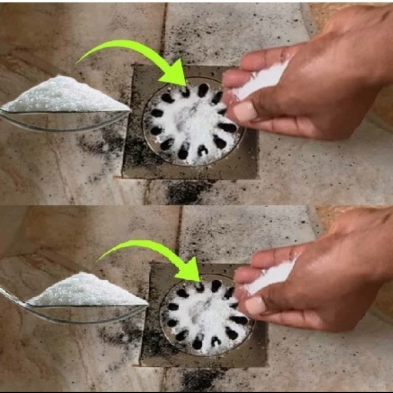 Untitled Project 2024 12 17t101913.935