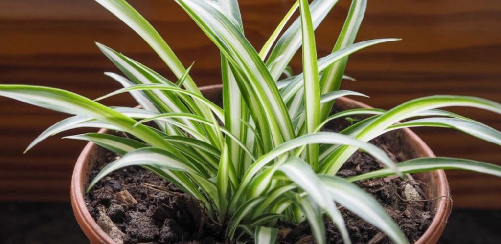 Xr:d:dafnbjpljbw:645,j:486792408986577315,t:23092121