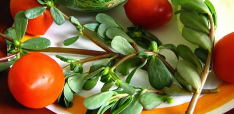 Xr:d:dafnbjpljbw:652,j:8109134860595241556,t:23092217