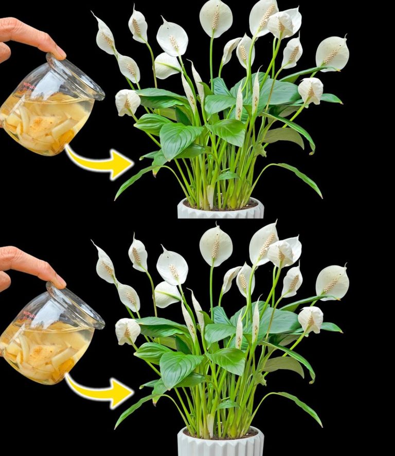 A Desktop Tvphjuf 2 Desktop Tvphjuf 4 Desktop Of2k5ng Desktop Of2k5ng 30 1