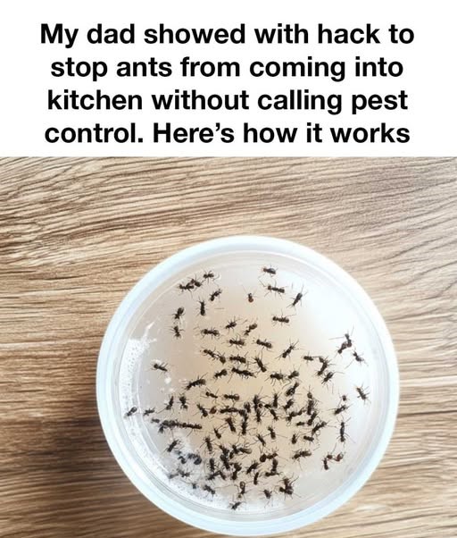 Cropped Image 17 1 32 768x1024 1