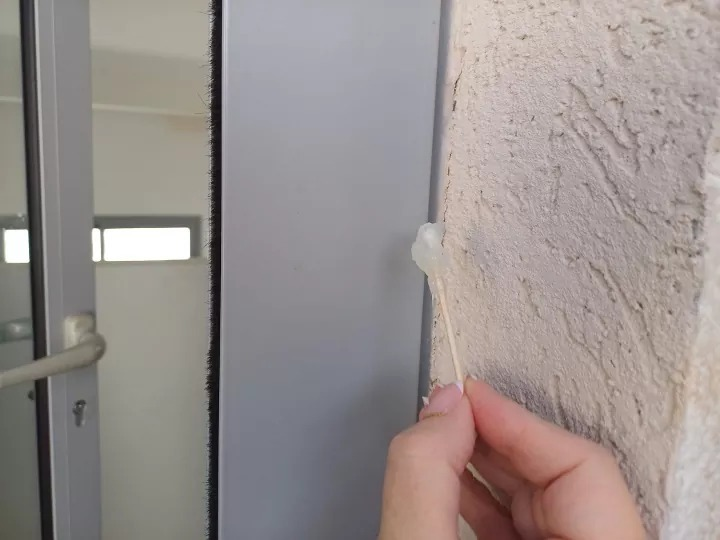 Image 2024 12 27 214633255