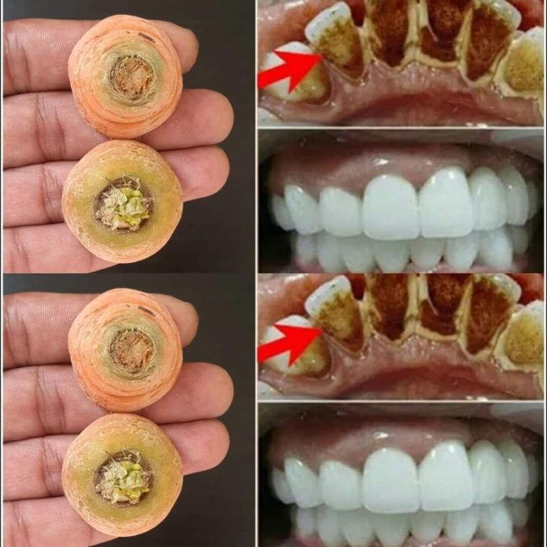 460041186 1093261928892163 3054422153052925531 N 1024x1024