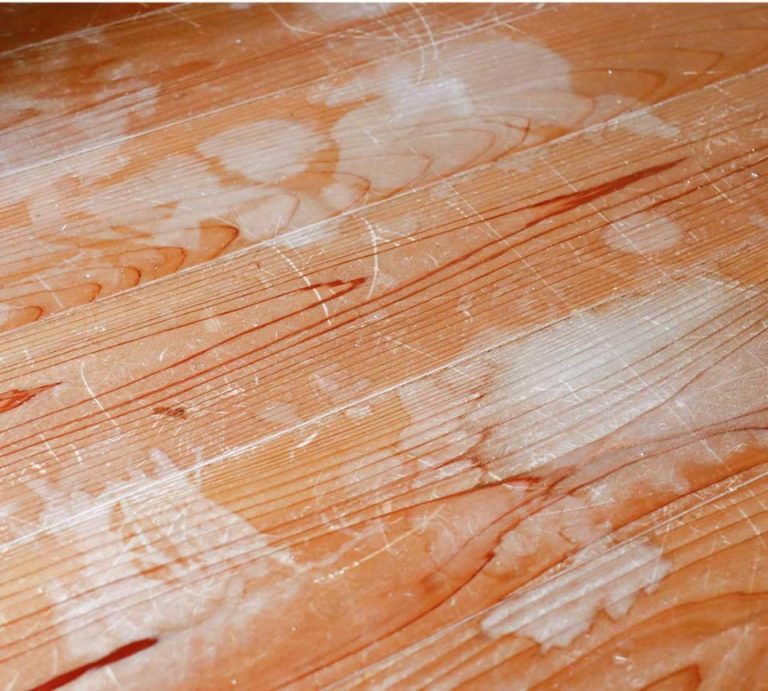 470493092 1008975864607127 8380882677771644630 N 1 E1738256748536