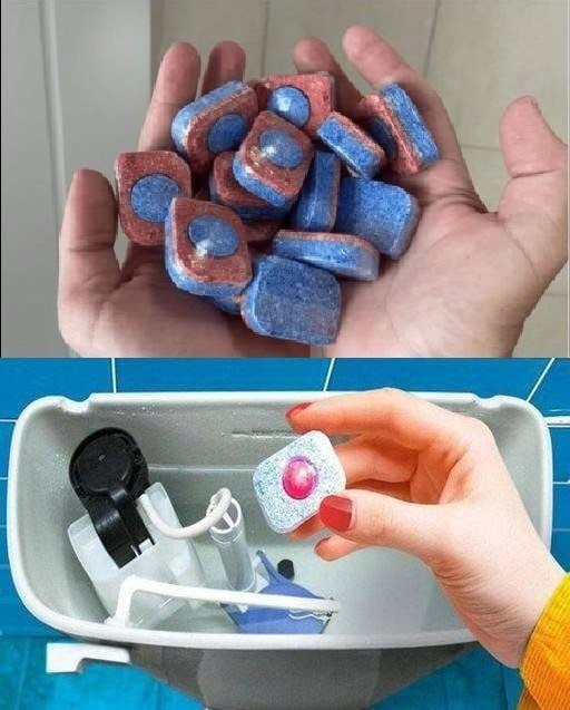 470574799 1246567746399732 9025382849132238374 N