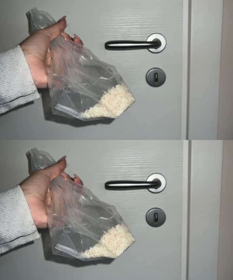 470697915 122189520158116432 4933368780330480632 N 1