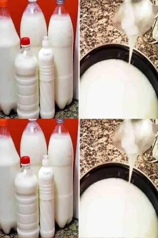 470715858 122126073866543334 5261603673489018422 N