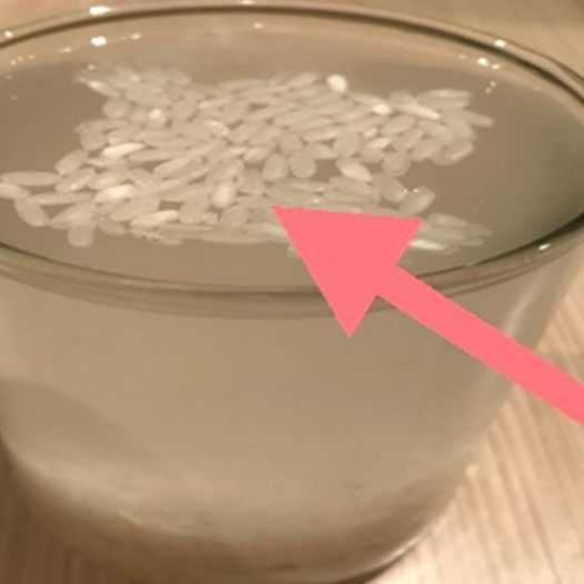 470870742 522581870814709 1512817521728148394 N