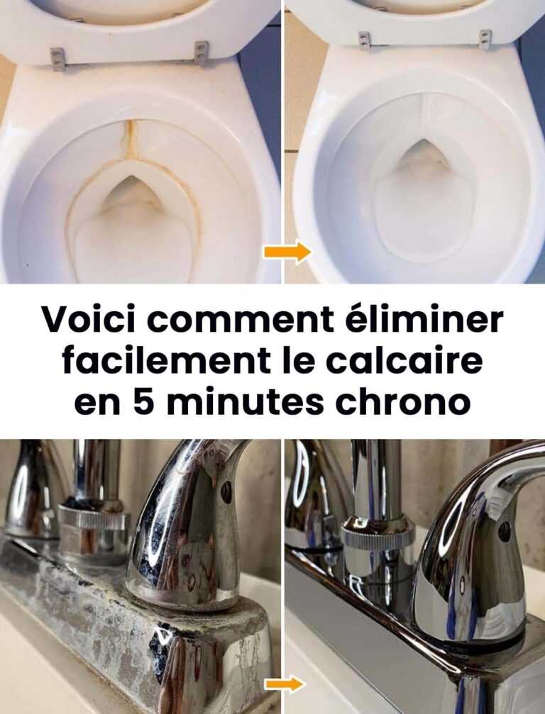 471282947 122157482324289318 8819951086915270012 N