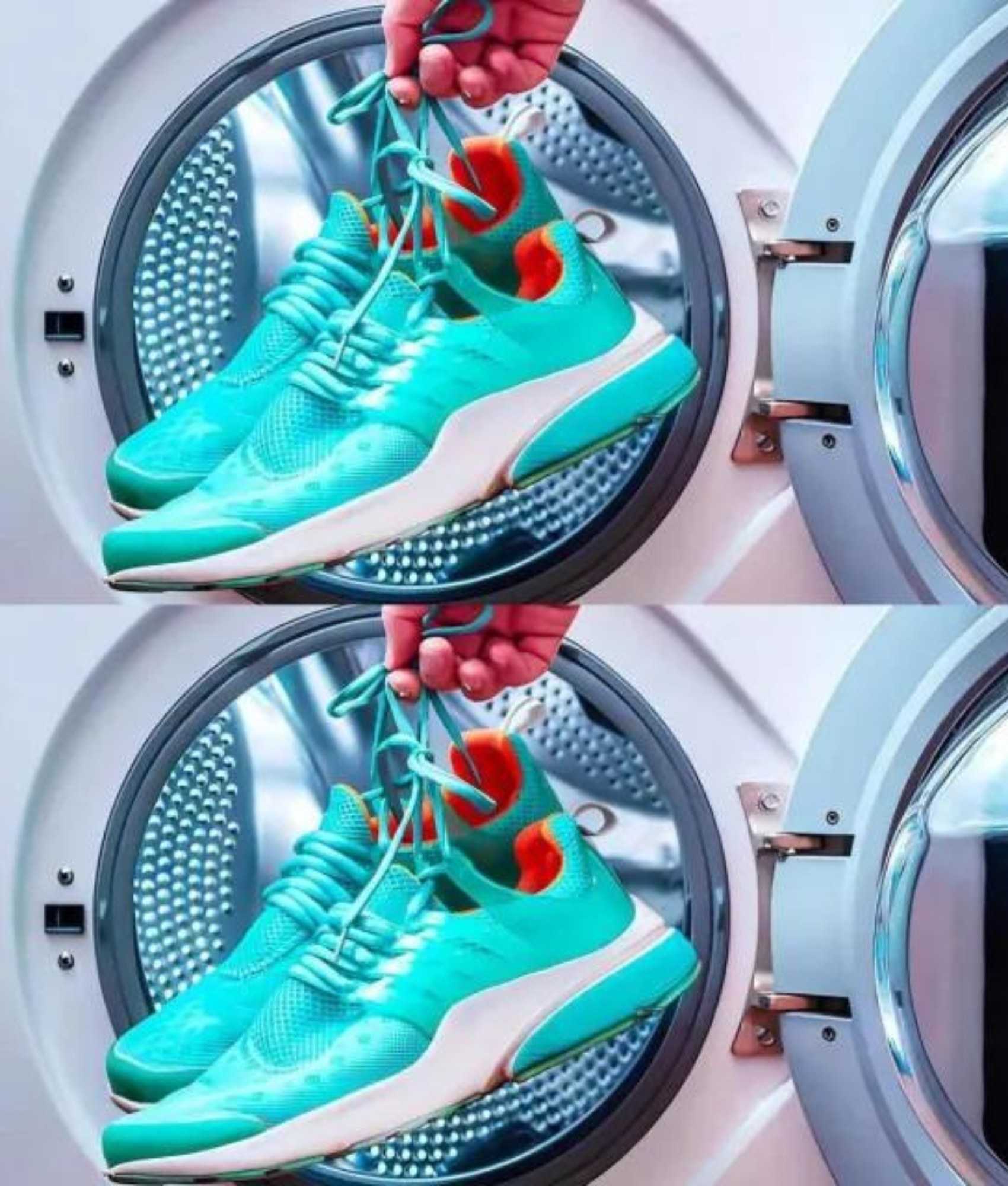 473446482 544163748656521 7987442411036470973 N