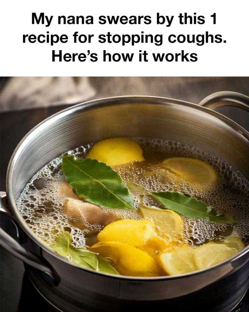 473537419 544686355270927 6416215976489098622 N