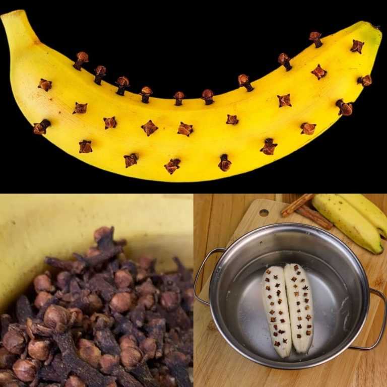 473780227 543811355358427 902849191593681769 N