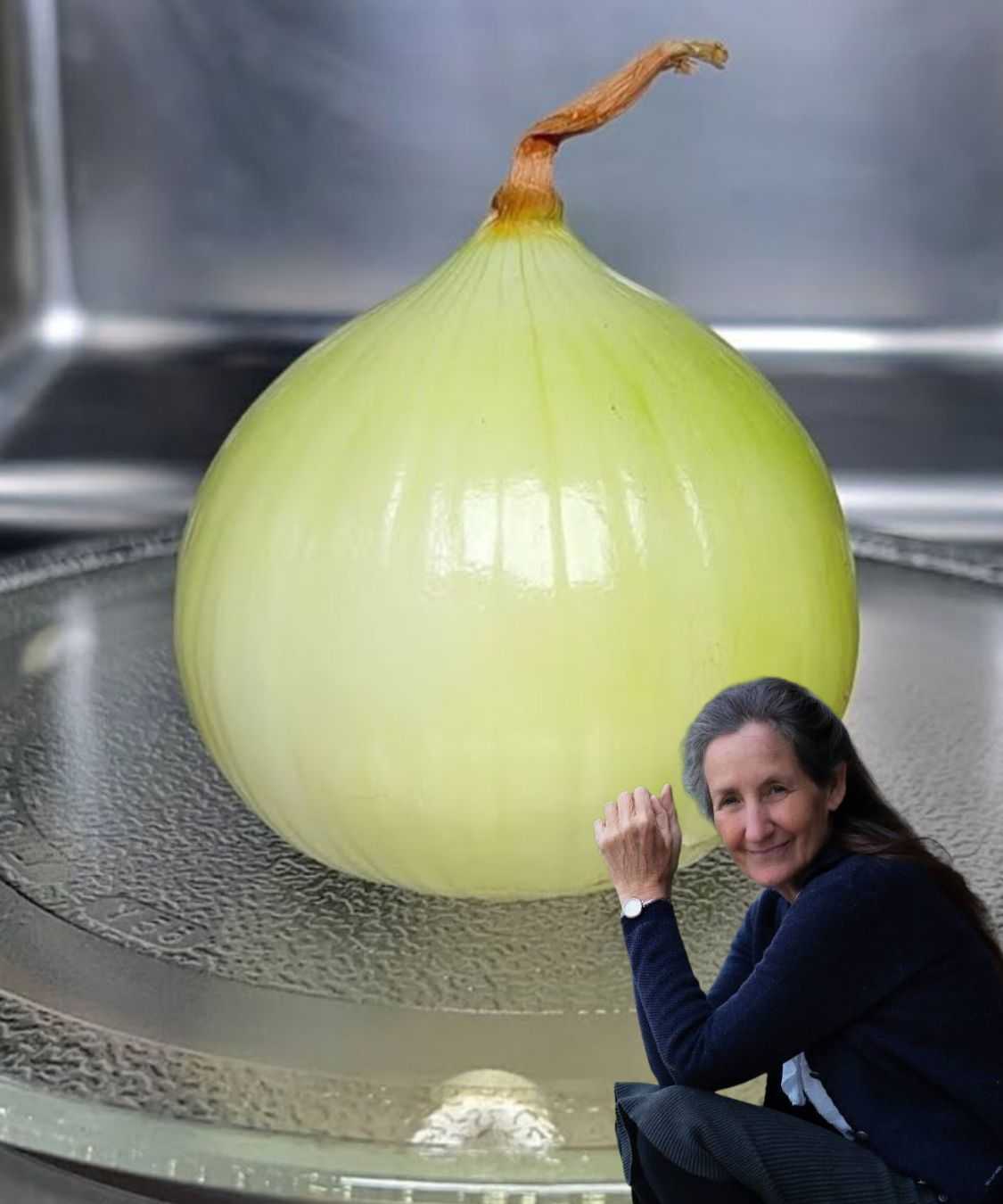 473830462 1171179241245655 4156601306213659744 N