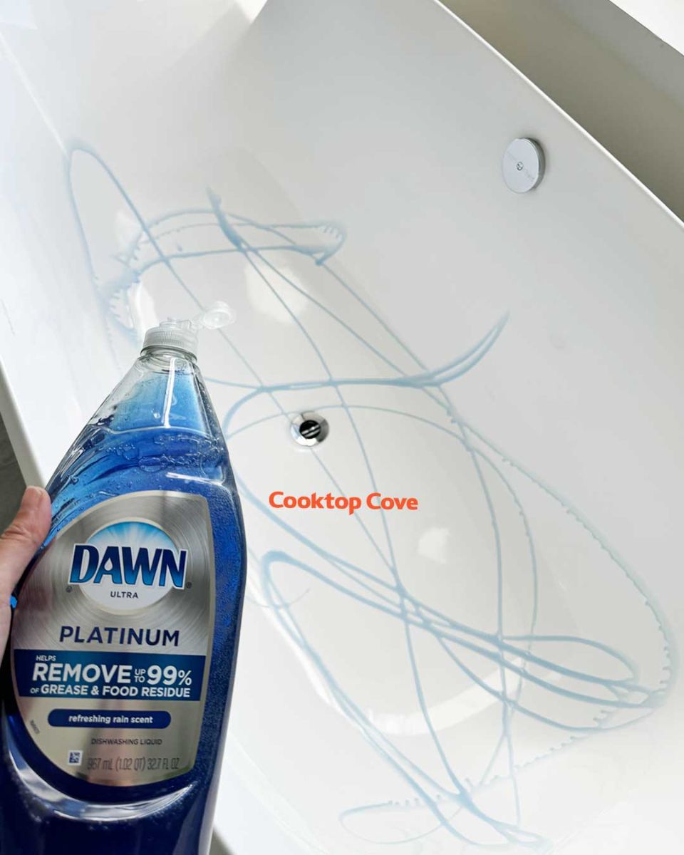 480653597 1058417639662949 646971204957921070 N