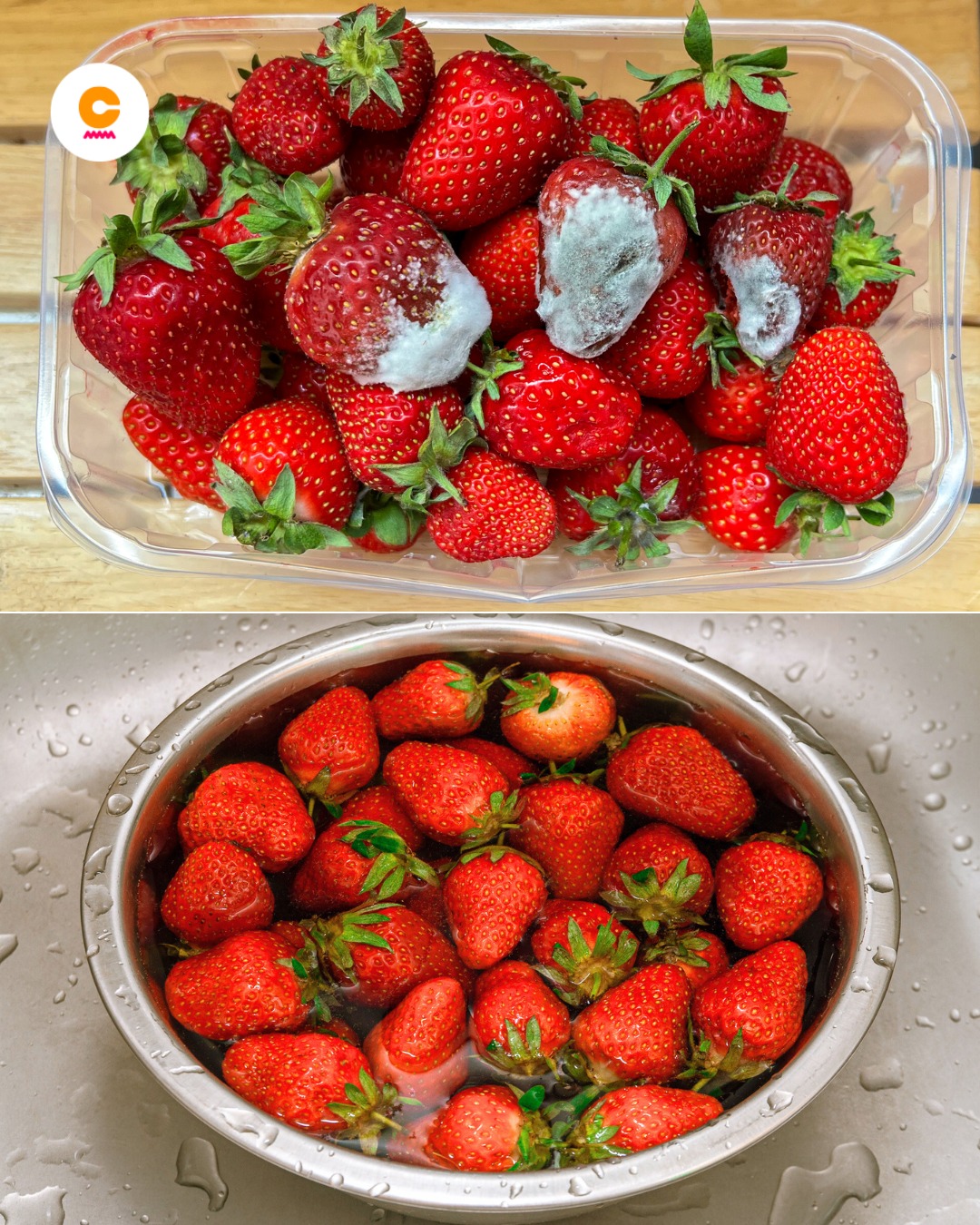 484450243 1019403936900883 2191966199693111890 N