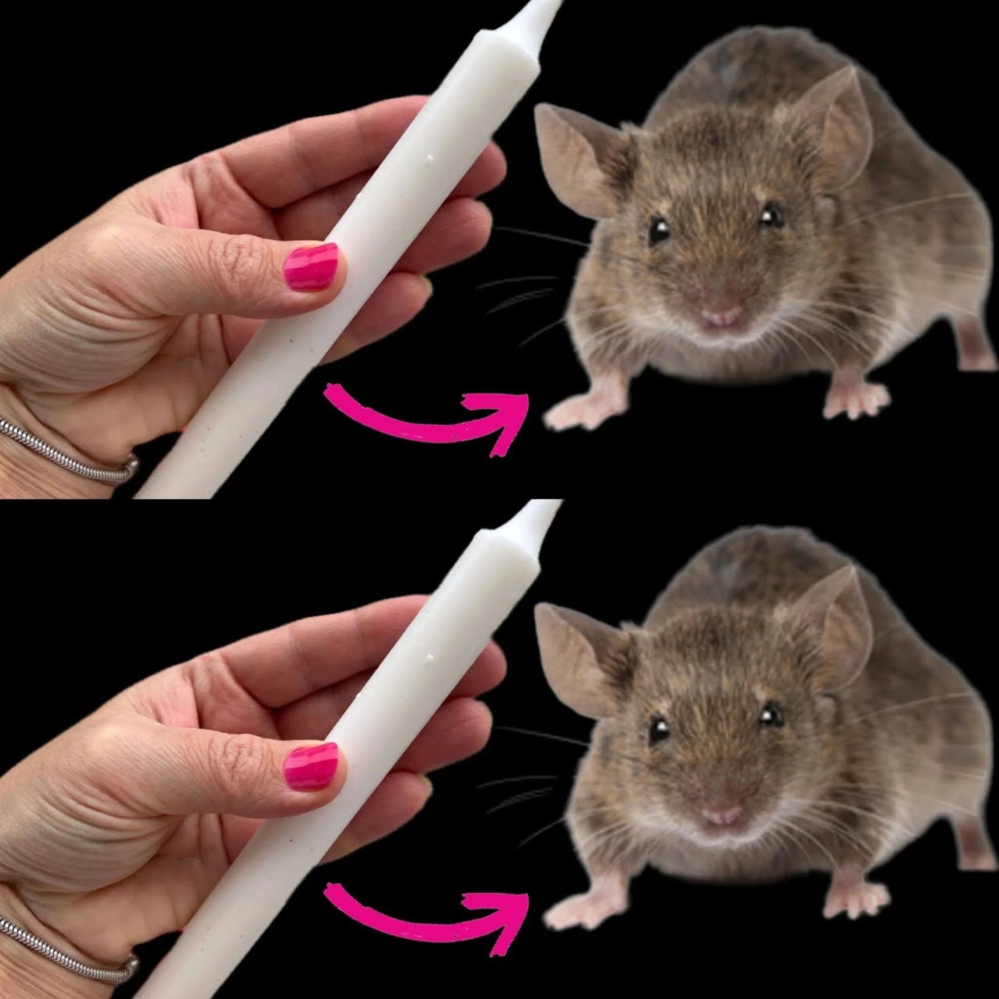 488709293 122277833564004068 8803610586546450349 N