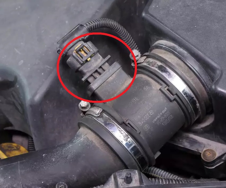 490179627 122130535118687224 7066867577271976048 N