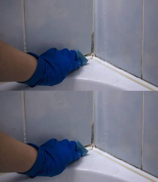 490276418 122230282286080624 3123650613351303952 N