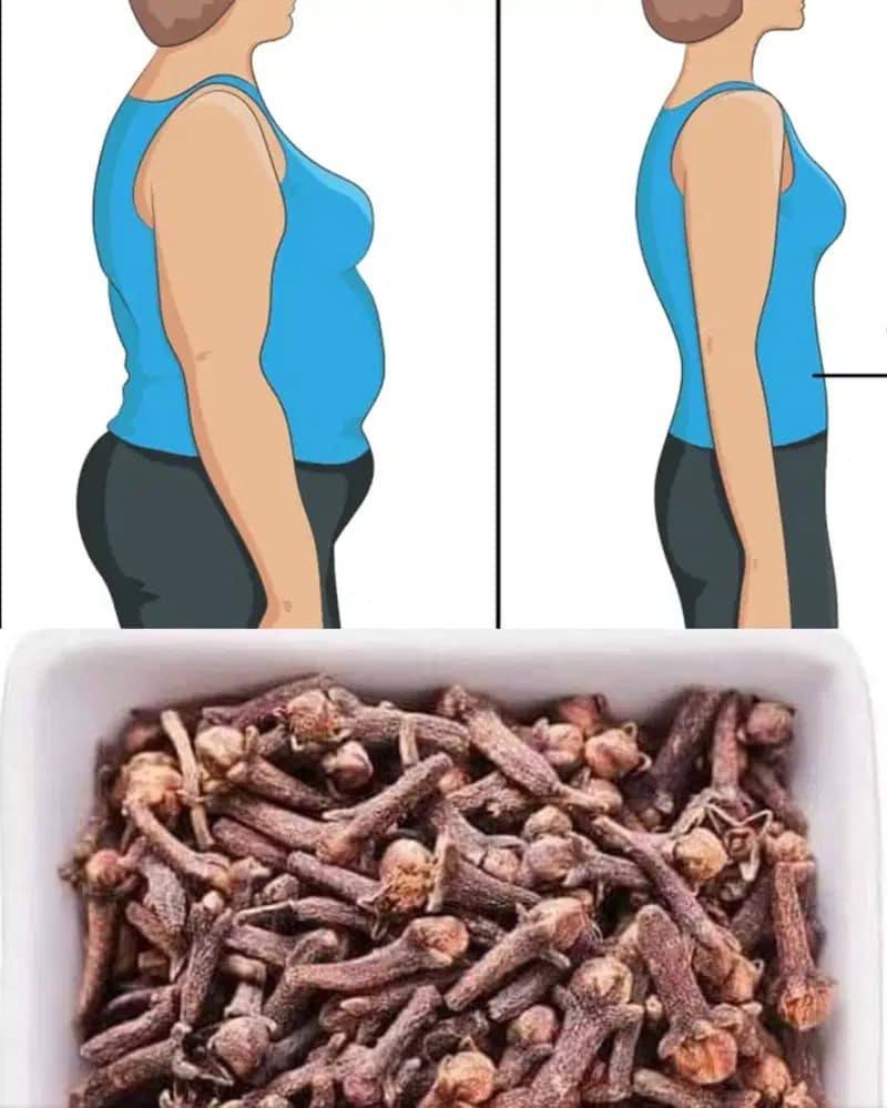 491142128 1914609425738215 3712943128912343089 N