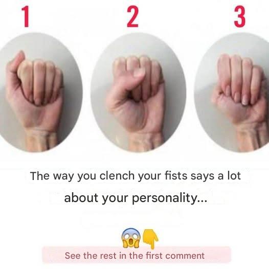 491144205 1174333684491600 8004063047678470625 N 3 1