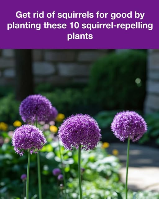 491144205 1174333684491600 8004063047678470625 N 6