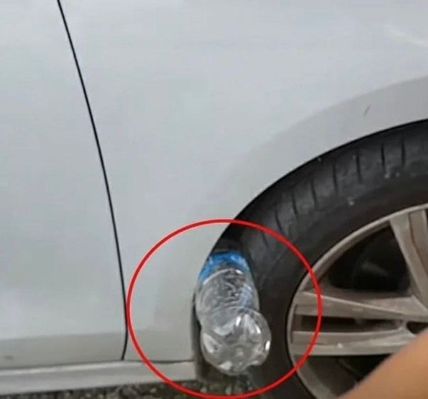 491163081 613493488390213 5112719381184821514 N