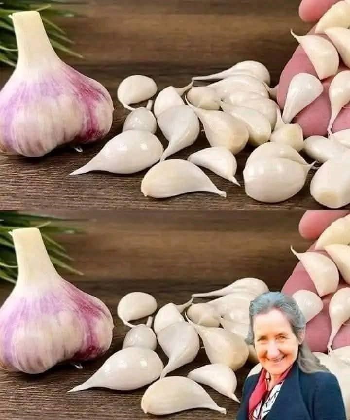 491262663 122126779634719780 4264576379088414678 N