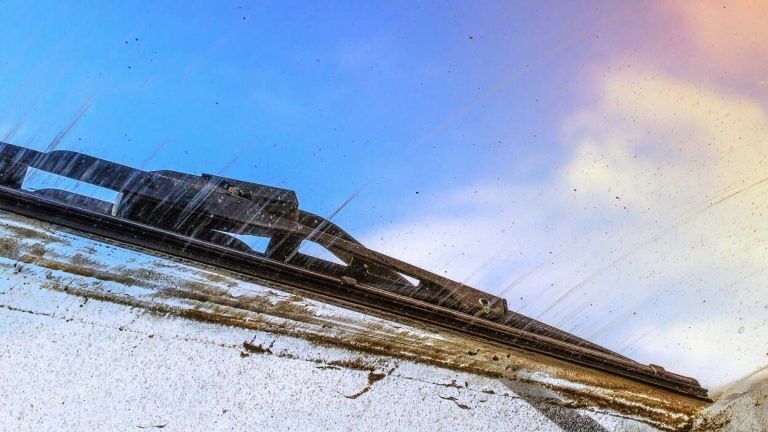 491687779 1242500550801011 2622394668114232615 N