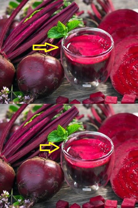 491936743 1096571902504330 4774013540700172031 N 54