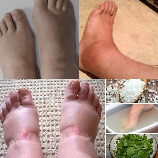 491951297 122121209900794311 2685541630154544479 N